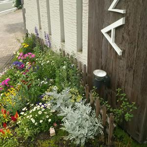 アンツの花壇日記