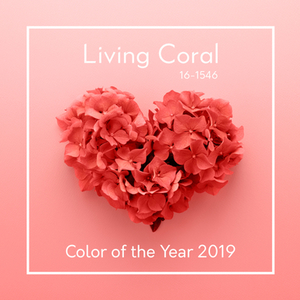 〜color of the year 2019〜今年の色は？！