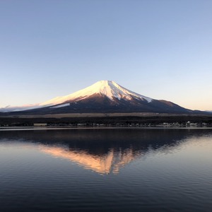 2020年　サンライズ日程